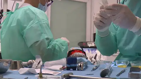 Cada familia se gasta, de media, 435 euros al año en salud bucodental Cada familia se gasta, de media, 435 euros al año en salud bucodental