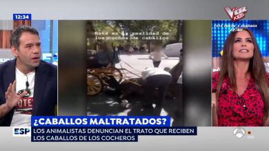 Acalorado debate entre Rubén Amón y Romina Belluscio por la defensa de los animales: 