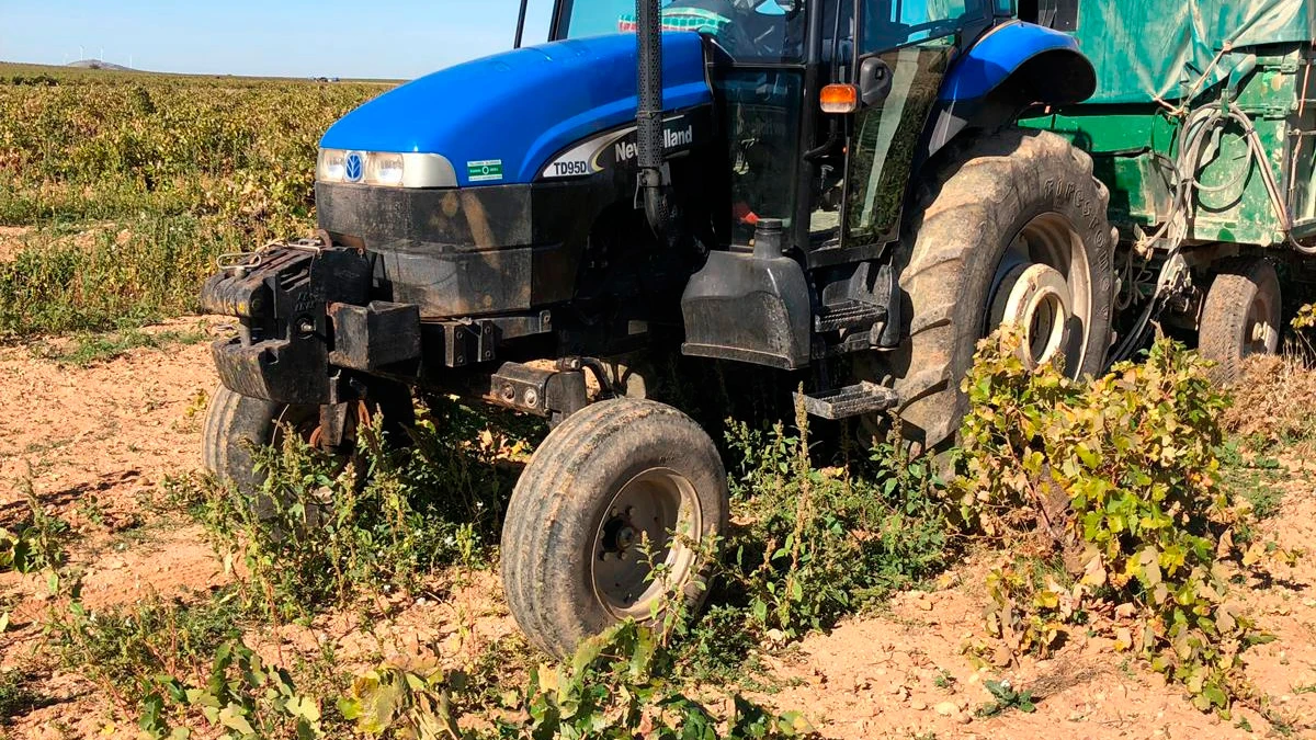 Trabajos de vendimia en Corral de Almaguer Trabajos de vendimia en Corral de Almaguer