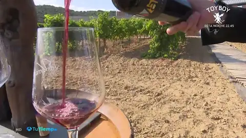 'Rufete', 'teta de cabra' o 'cojón de gato', las variedades más raras de uvas 'Rufete', 'teta de cabra' o 'cojón de gato', las variedades más raras de uvas