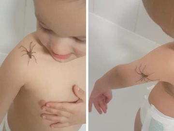 Bebé juega con una araña Bebé juega con una araña