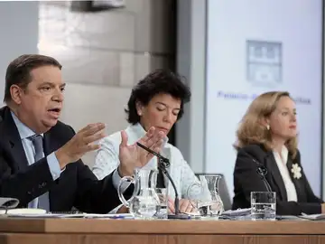 Luis Planas, Isabel Celaá y Nadia Calviño durante la rueda de prensa posterior al Consejo de Ministros Luis Planas, Isabel Celaá y Nadia Calviño durante la rueda de prensa posterior al Consejo de Ministros