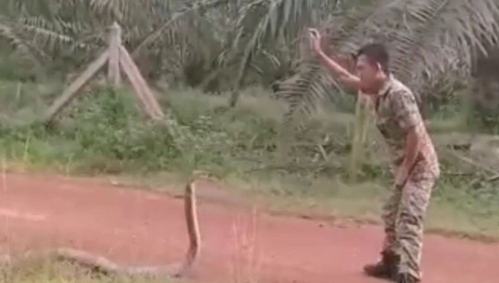 El vídeo ha recibido más de 80.000 visitas