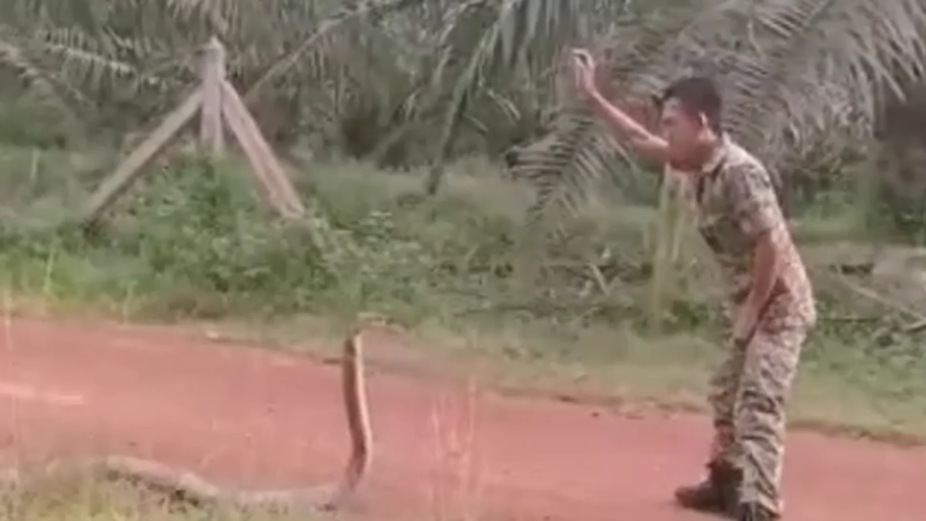 El vídeo ha recibido más de 80.000 visitas El vídeo ha recibido más de 80.000 visitas