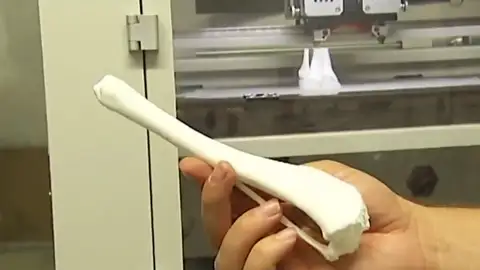 Implantes para animales Implantes para animales