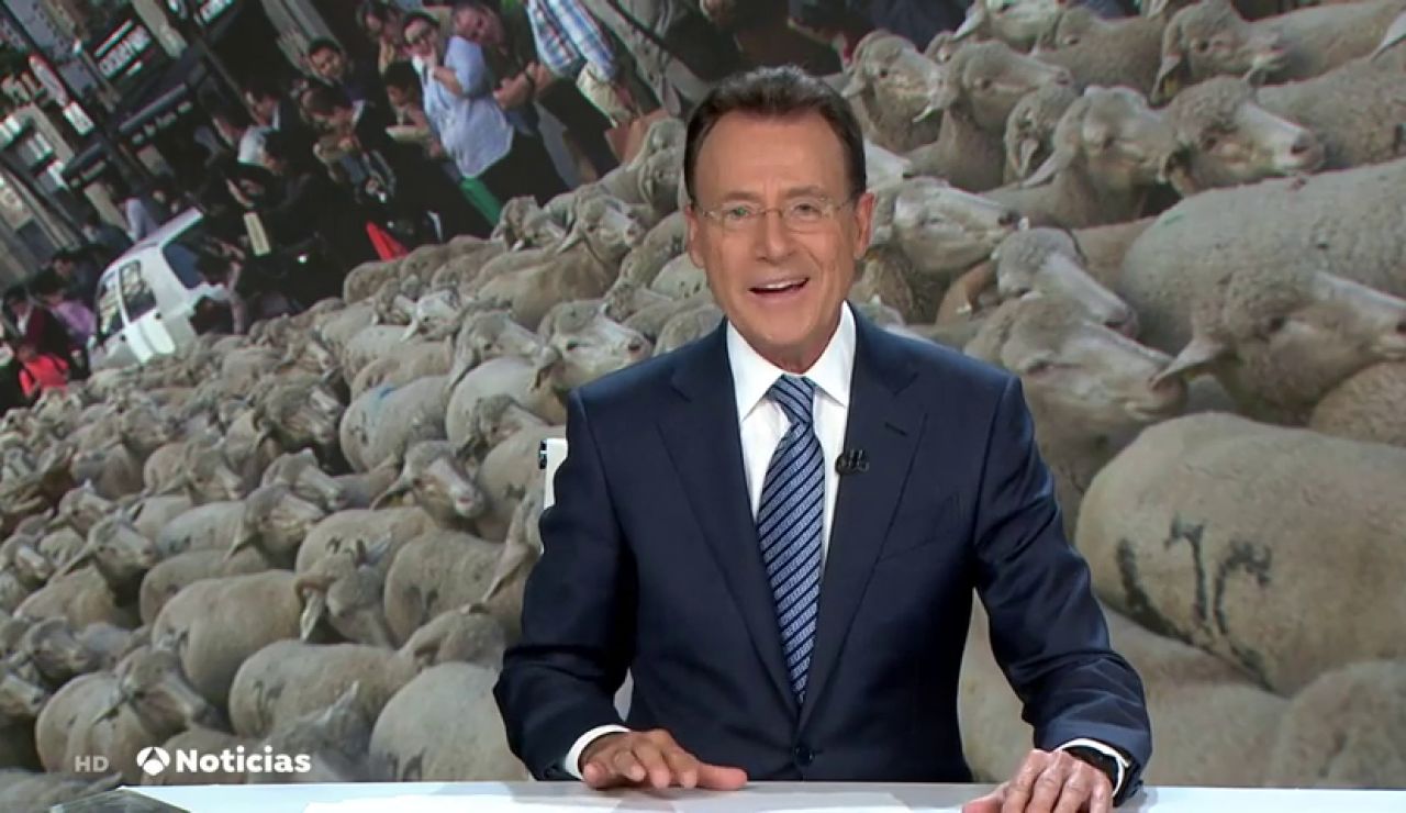 La graciosa confusión de Matías Prats llena Madrid de "medio millón de ovejas" La graciosa confusión de Matías Prats llena Madrid de "medio millón de ovejas"