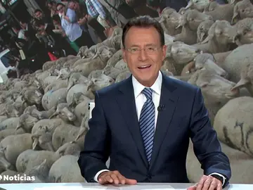 La graciosa confusión de Matías Prats llena Madrid de "medio millón de ovejas" La graciosa confusión de Matías Prats llena Madrid de "medio millón de ovejas"