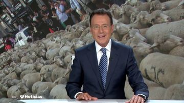 La graciosa confusión de Matías Prats llena Madrid de "medio millón de ovejas"