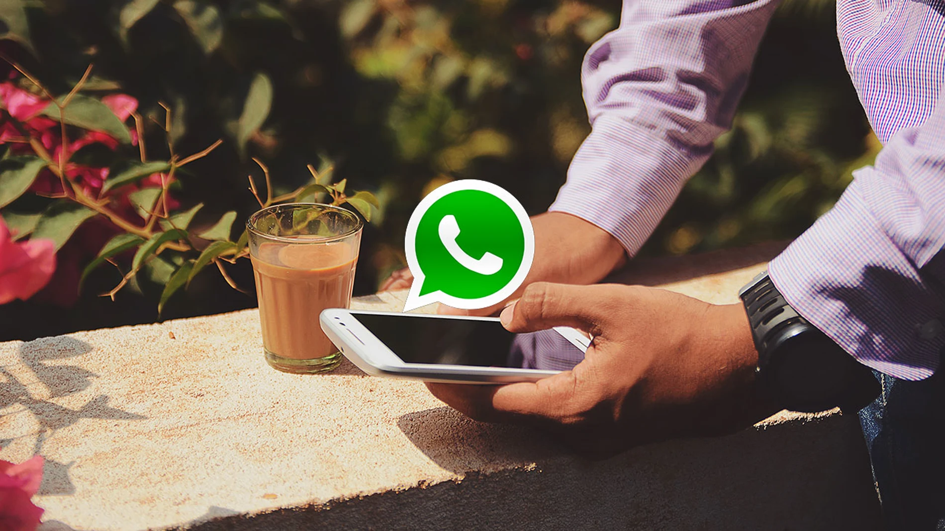 WhatsApp WhatsApp