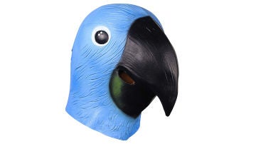 Cabeza de loro