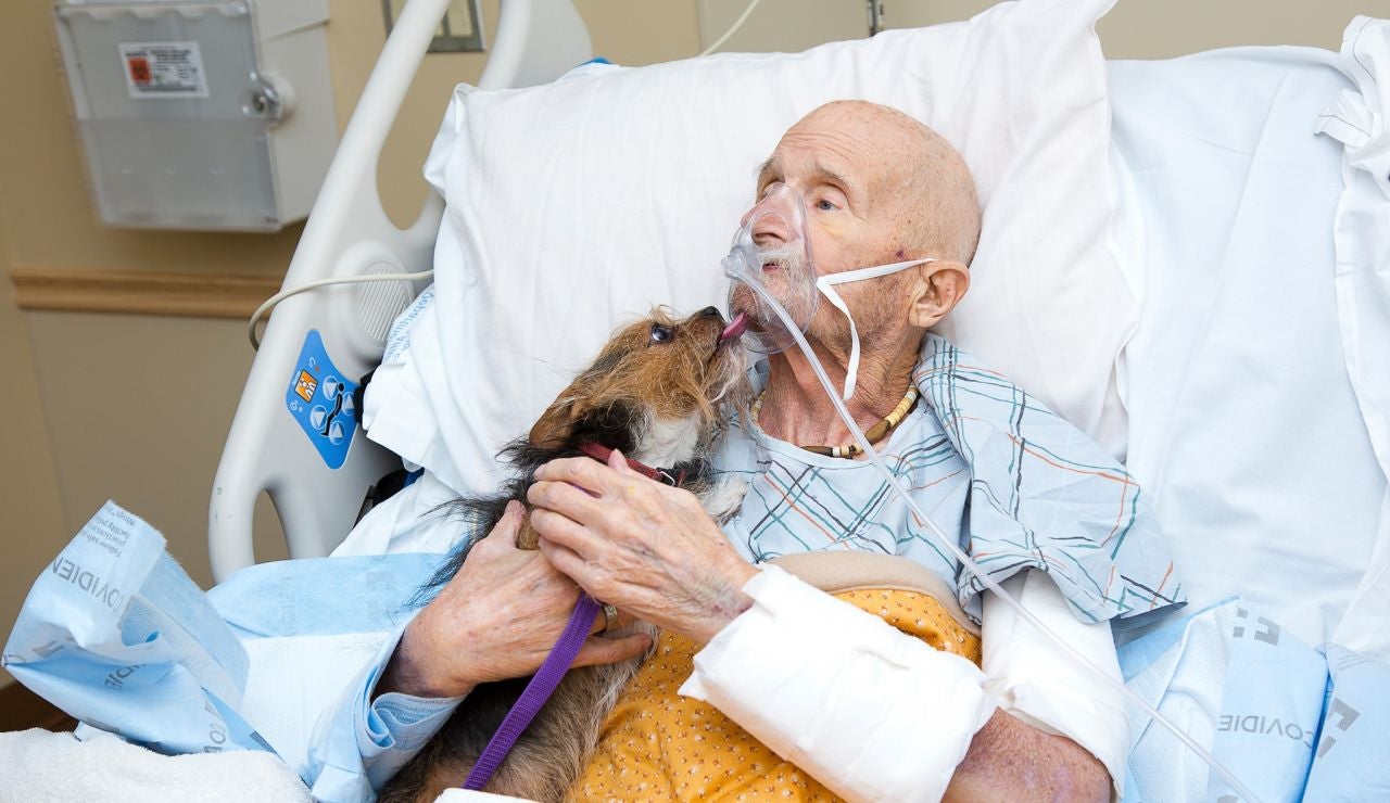 Un veterano de guerra se despide de su perro Un veterano de guerra se despide de su perro