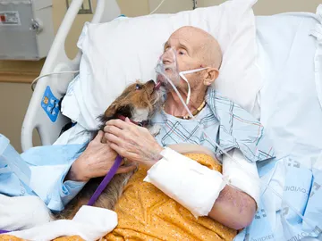 Un veterano de guerra se despide de su perro Un veterano de guerra se despide de su perro