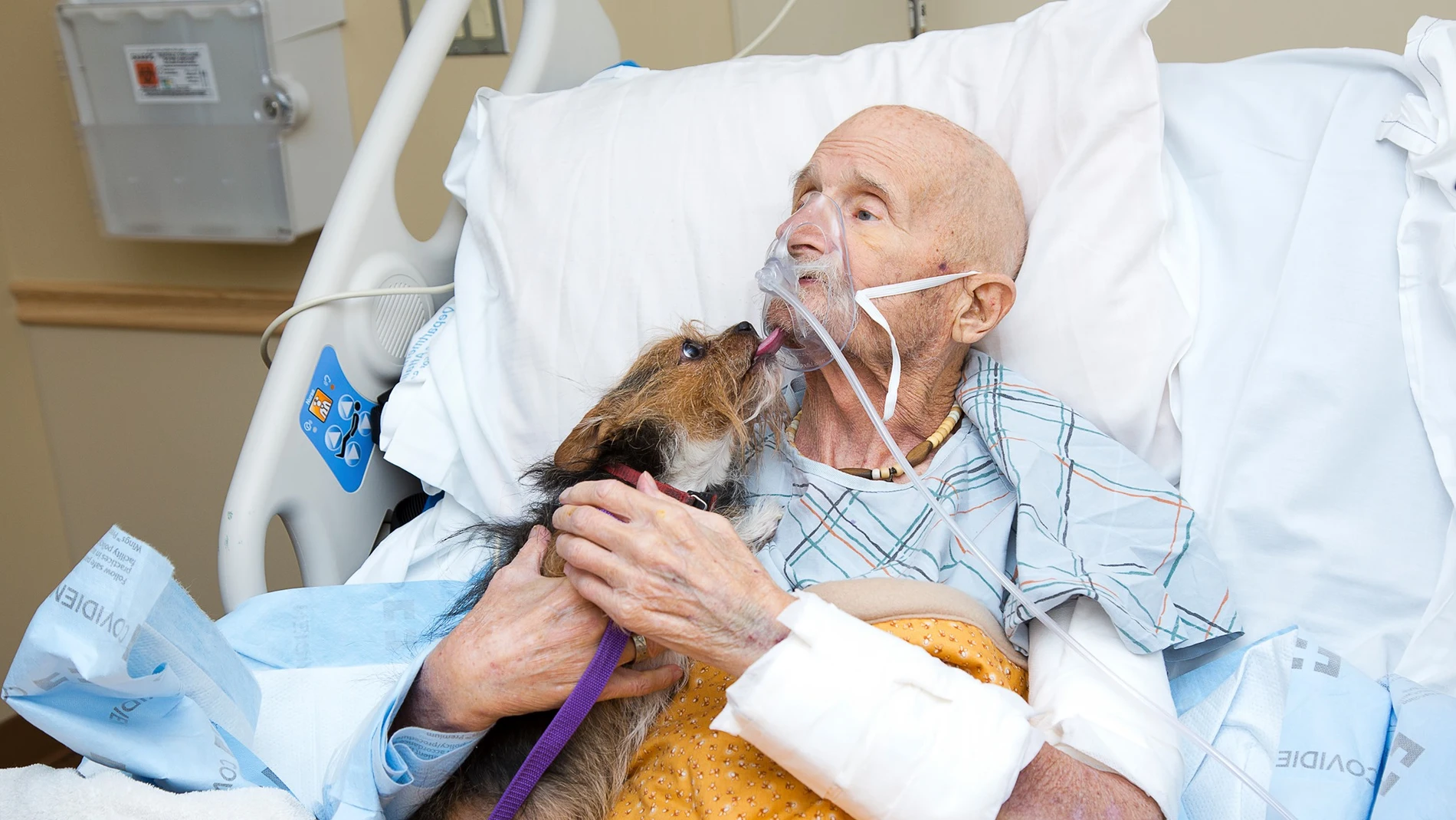 Un veterano de guerra se despide de su perro Un veterano de guerra se despide de su perro