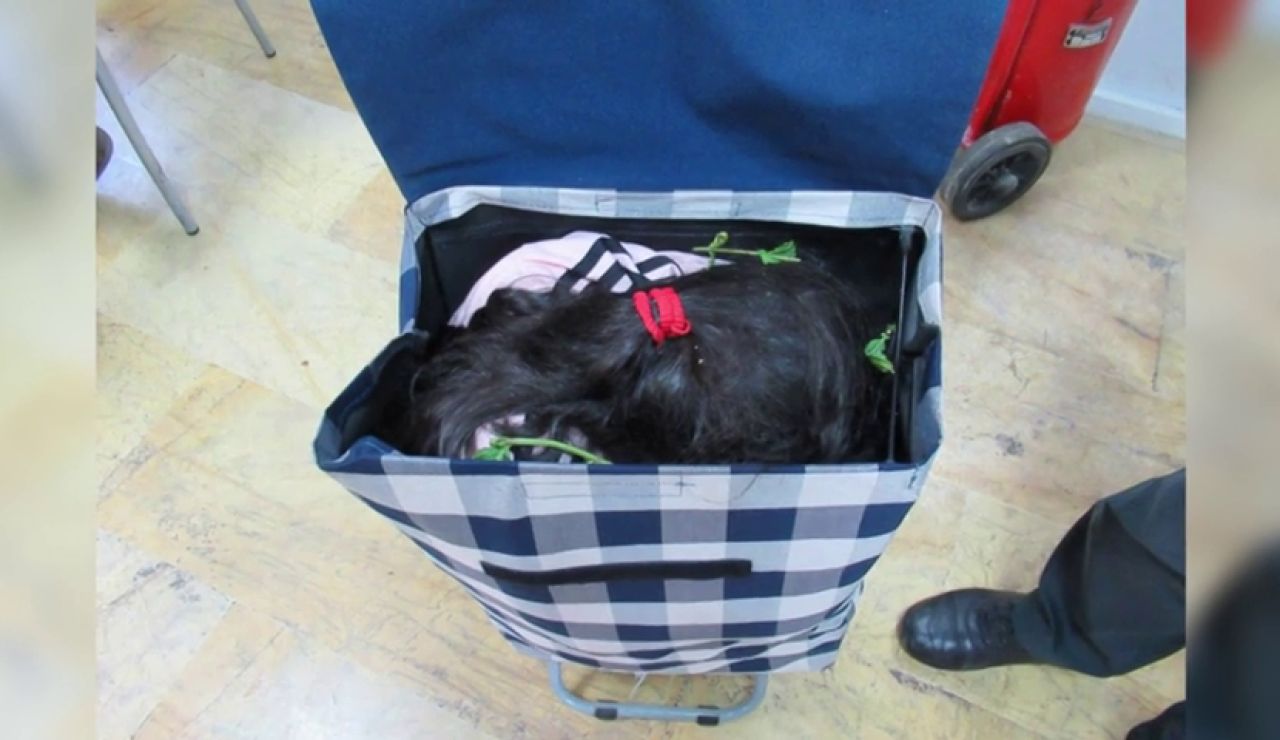 Detenido al pasar a una niña escondida en un carro de la compra de Marruecos a Melilla Detenido al pasar a una niña escondida en un carro de la compra de Marruecos a Melilla