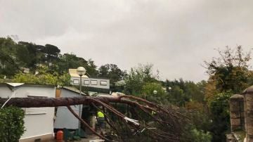 La caída de un árbol en un cámping en Gualba por los efectos de la DANA La caída de un árbol en un cámping en Gualba por los efectos de la DANA