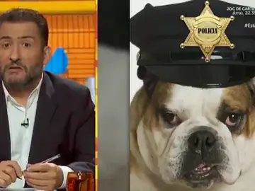 Programa 'Està passant' de TV3 Programa 'Està passant' de TV3