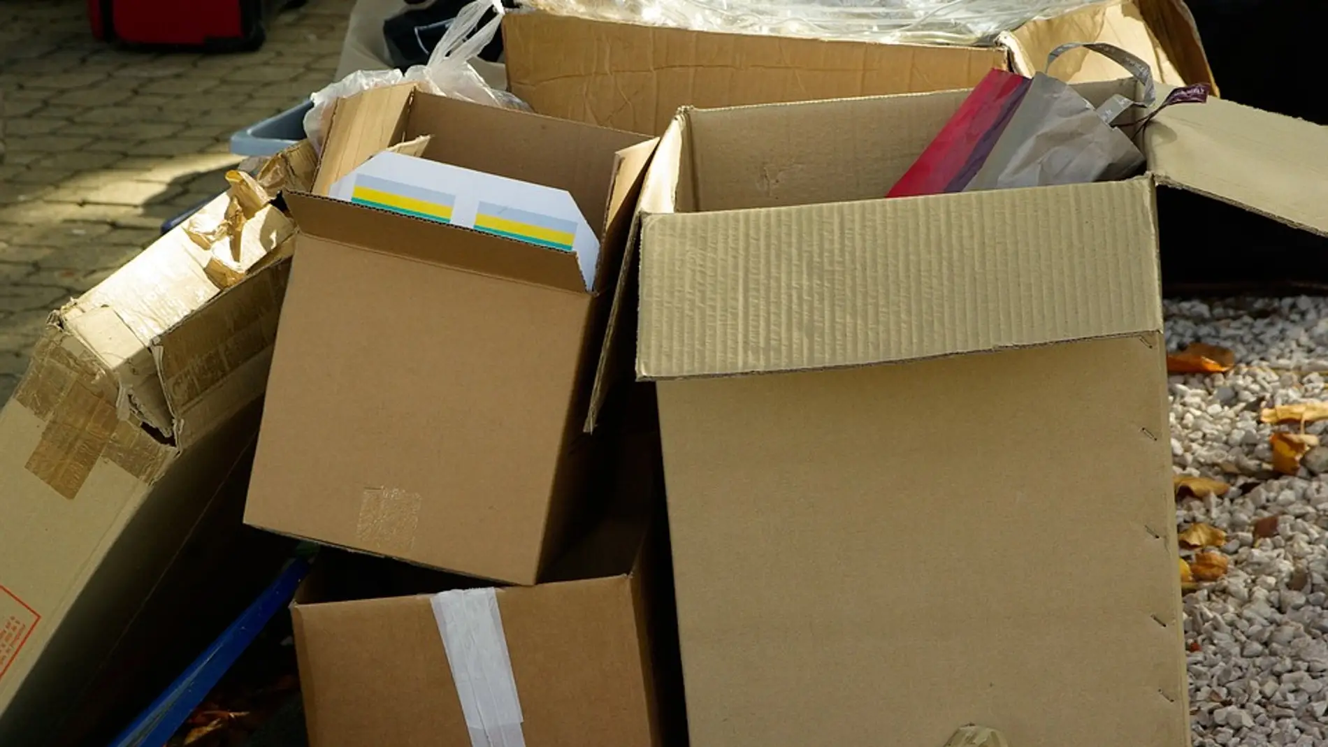Cajas de cartón