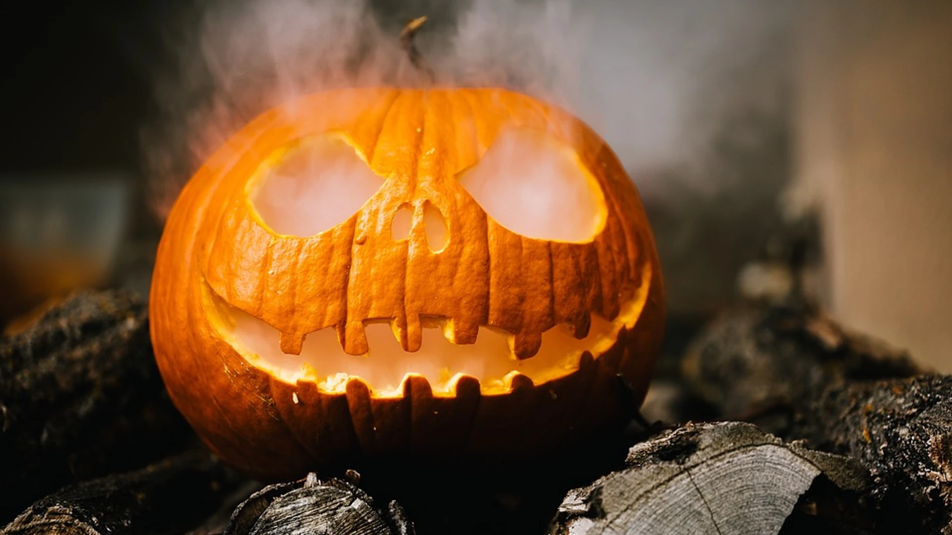 Halloween 2019 Halloween 2019