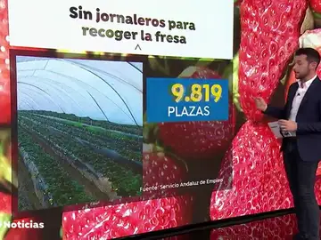 FRESA FRESA
