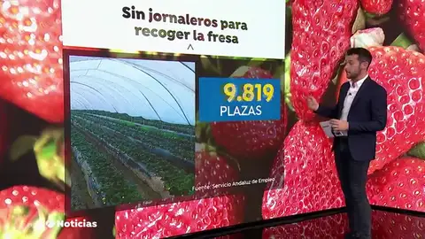 FRESA FRESA