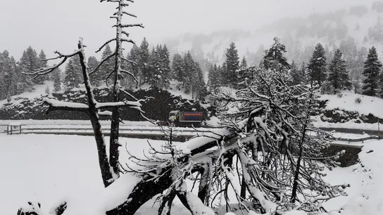 Primer temporal nieve en Navarra Primer temporal nieve en Navarra