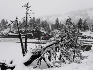 Primer temporal nieve en Navarra