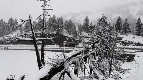 Primer temporal nieve en Navarra Primer temporal nieve en Navarra