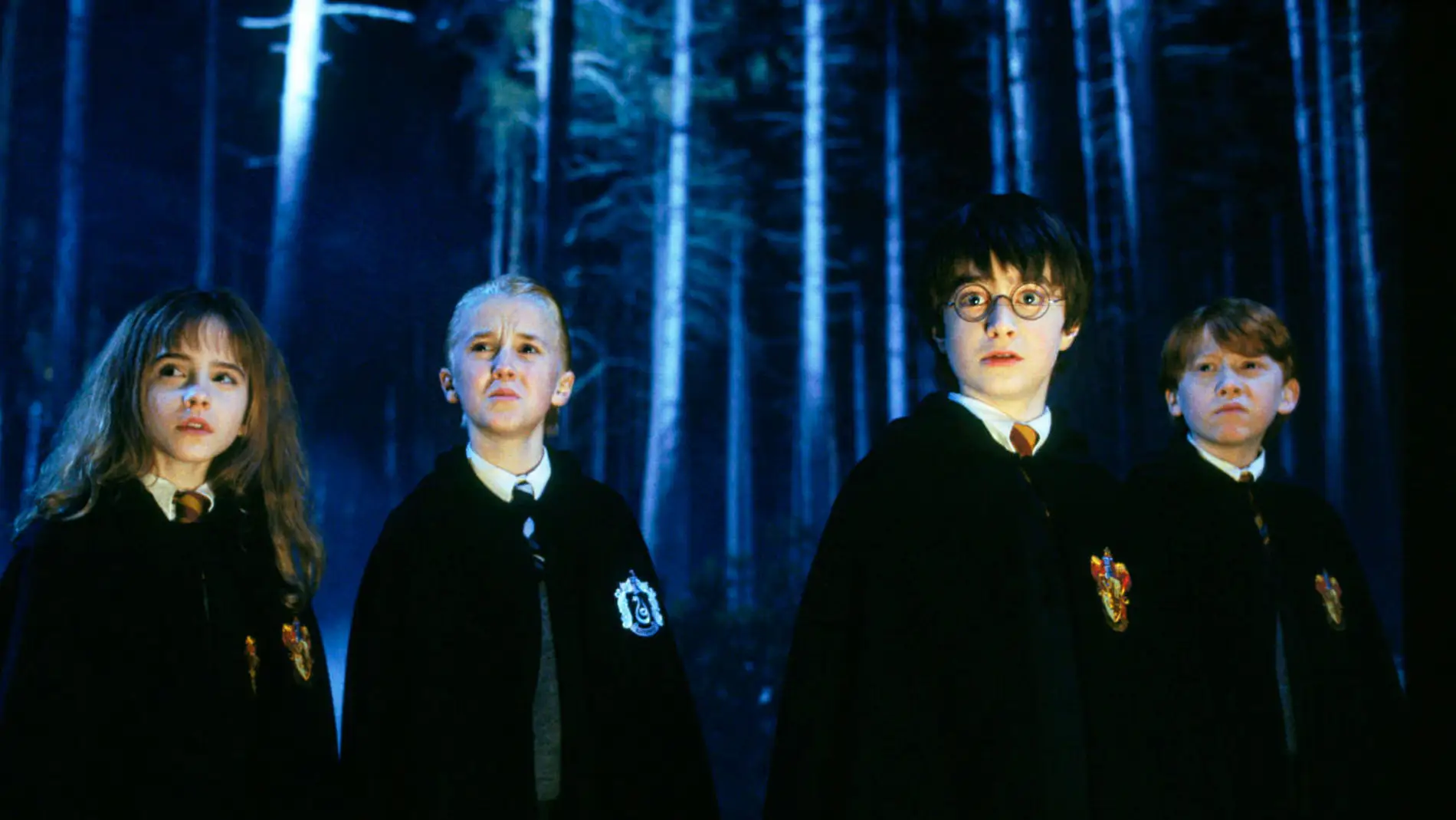 Hermione, Draco, Harry y Ron en 'Harry Potter'