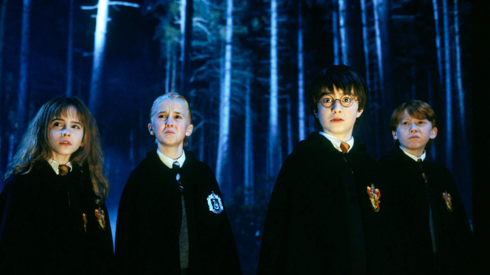 Hermione, Draco, Harry y Ron en 'Harry Potter' Hermione, Draco, Harry y Ron en 'Harry Potter'