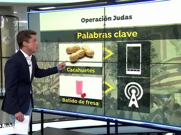 El diccionario de los nombres en clave de los CDR: desde 'Gandalf' y 'Lisa' a 'batidos de fresa' y 'cacahuetes' El diccionario de los nombres en clave de los CDR: desde 'Gandalf' y 'Lisa' a 'batidos de fresa' y 'cacahuetes'