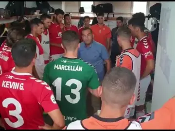 vídeo camela vídeo camela