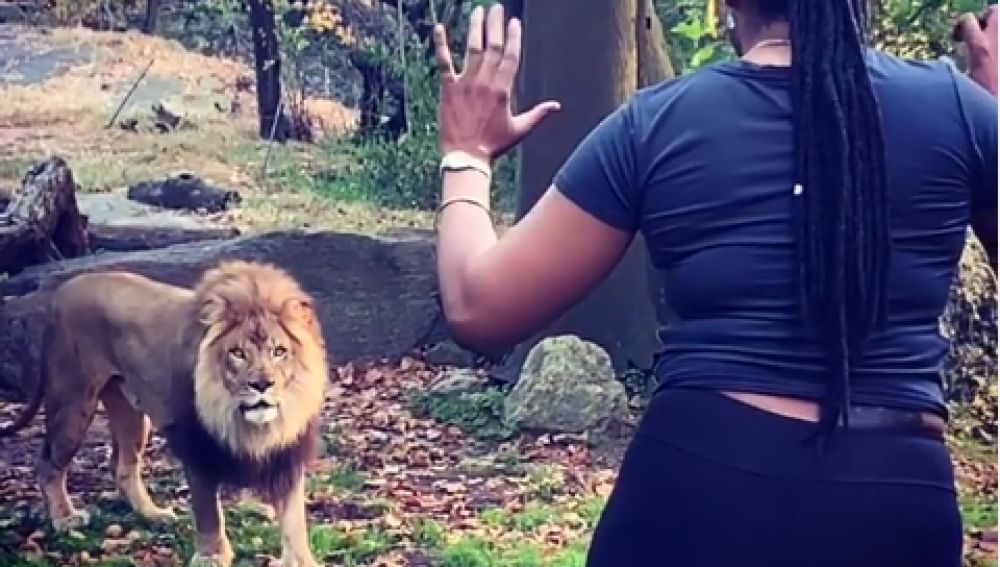 Mujer baila frente a leones en Nueva York