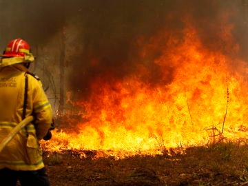 Oleada de incendios en Nueva Gales del Sur, en Australia