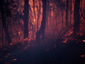Incendios forestales en Australia