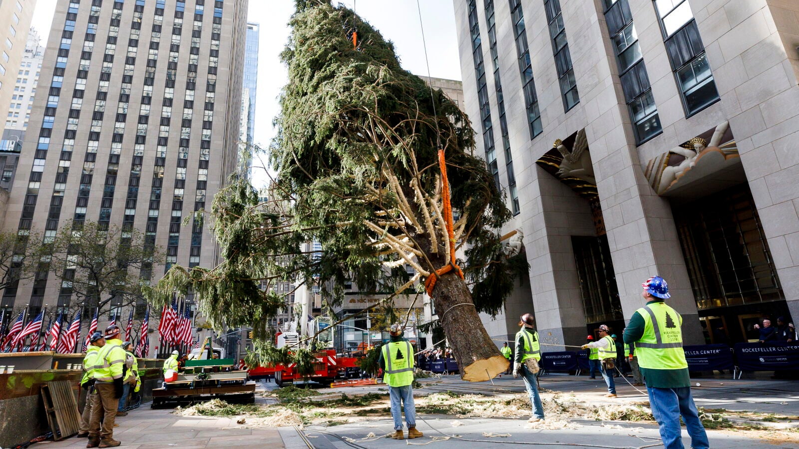El árbol de Navidad llega a Nueva York y planta el espíritu navideño en Rockefeller Center