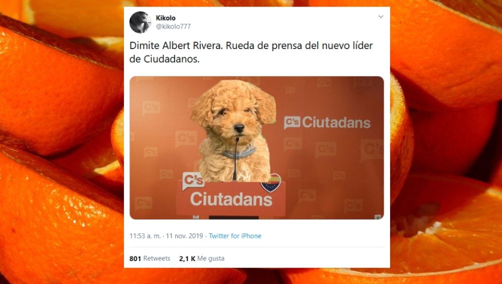 Los Mejores Memes De La Dimision De Albert Rivera
