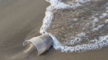 Vaso de plástico en la orilla