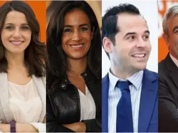 ¿Quién presidirá Ciudadanos? ¿Quién presidirá Ciudadanos?
