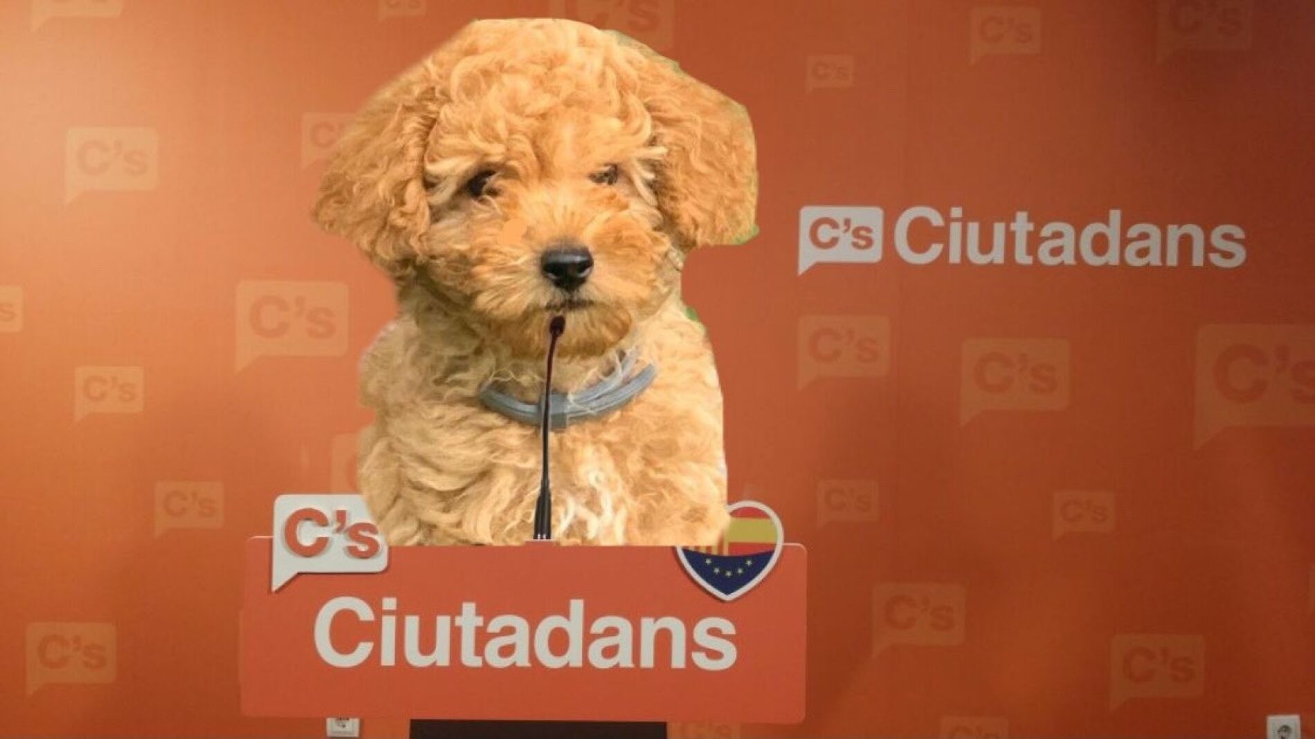 Meme dimisi&oacute;n Albert Rivera