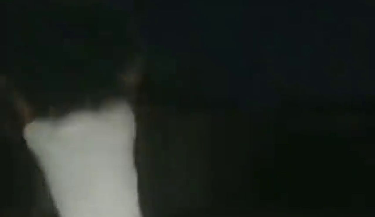 Un aficionado de los '49ers' pierde los papeles antes sus hijos y destroza la televisión por una derrota de su equipo Un aficionado de los '49ers' pierde los papeles antes sus hijos y destroza la televisión por una derrota de su equipo