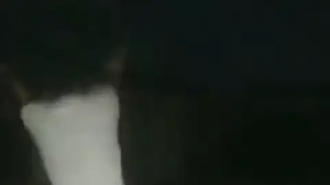 Un aficionado de los '49ers' pierde los papeles antes sus hijos y destroza la televisión por una derrota de su equipo Un aficionado de los '49ers' pierde los papeles antes sus hijos y destroza la televisión por una derrota de su equipo