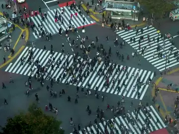 Prohíben que las mujeres usen gafas en el trabajo en Japón y la medida genera polémica en redes Prohíben que las mujeres usen gafas en el trabajo en Japón y la medida genera polémica en redes