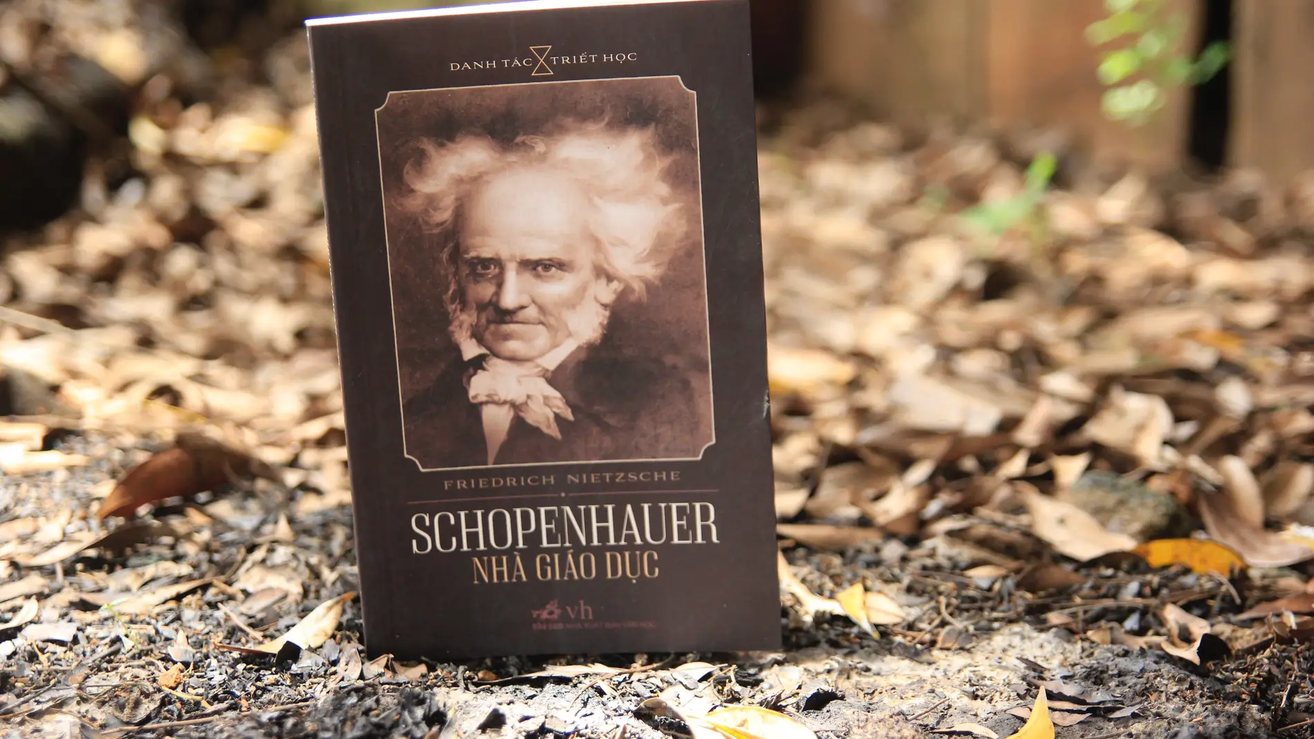 Schopenhauer (archivo)