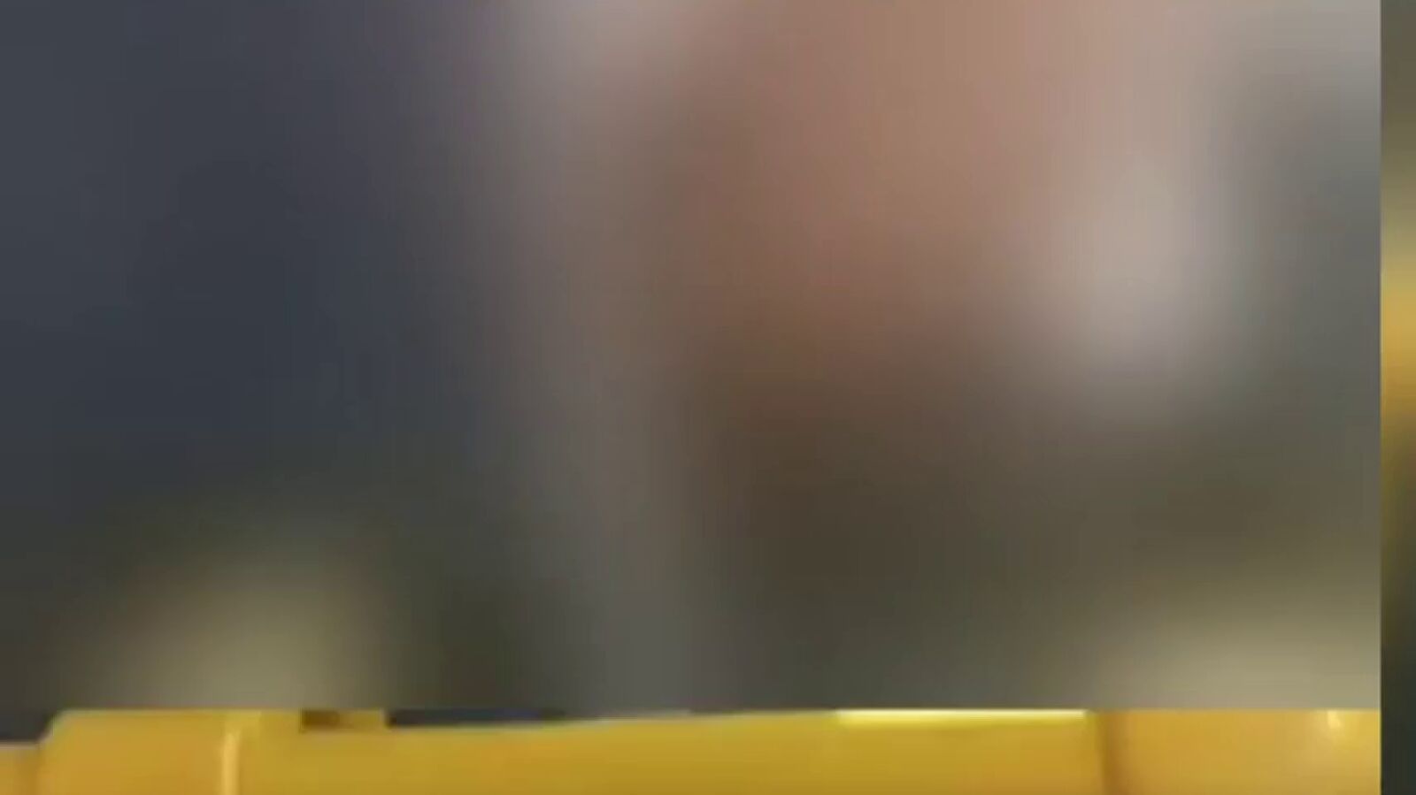  Una joven graba y sube a las redes sociales a un hombre que se masturbaba mirándola en un autobús de Almería