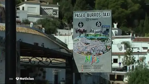 Paseo 'burros-taxi' BURROS