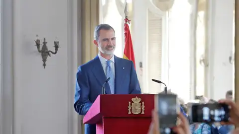 El Rey Felipe VI El Rey Felipe VI