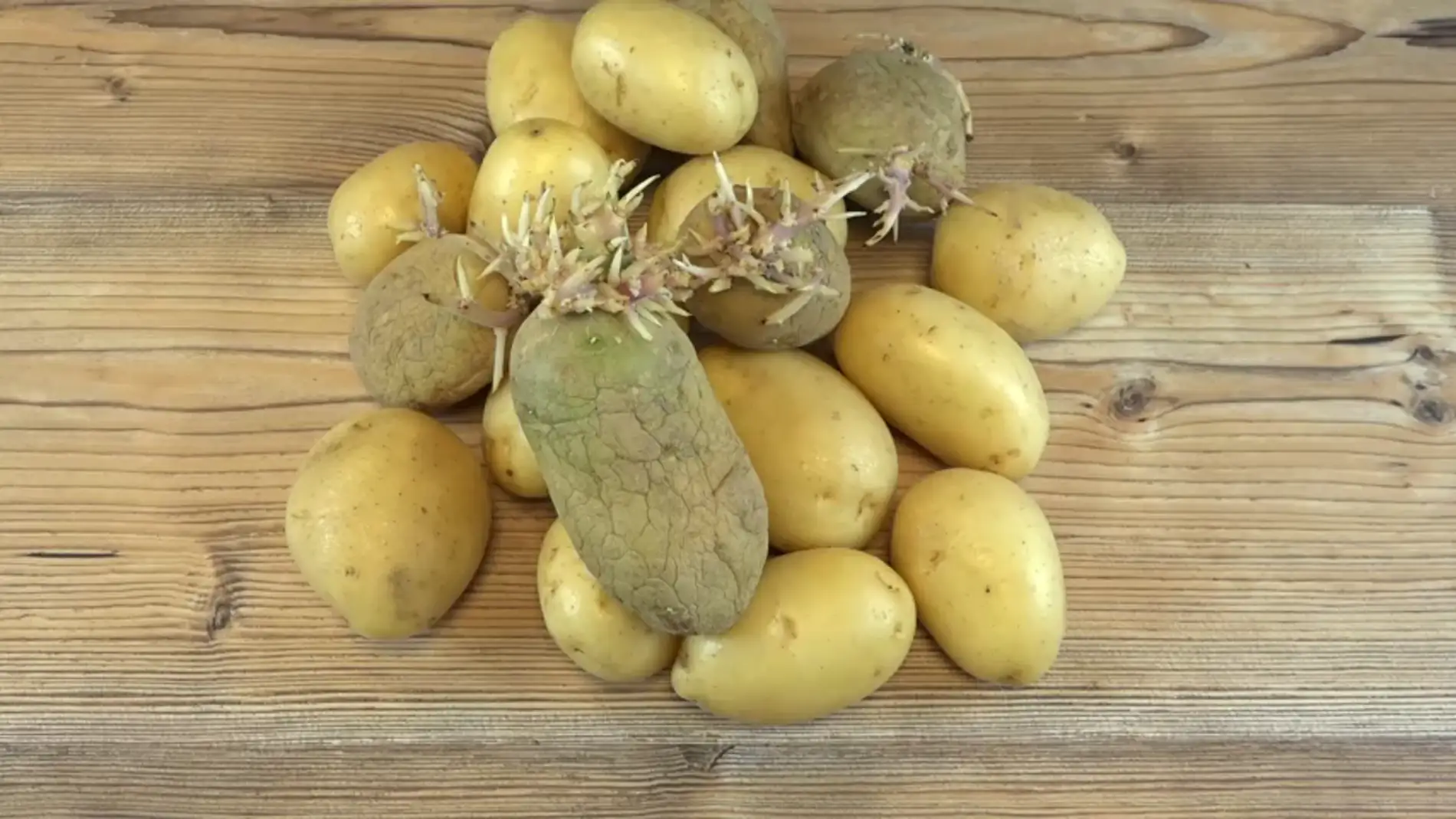 Cómo evitar que las patatas germinen