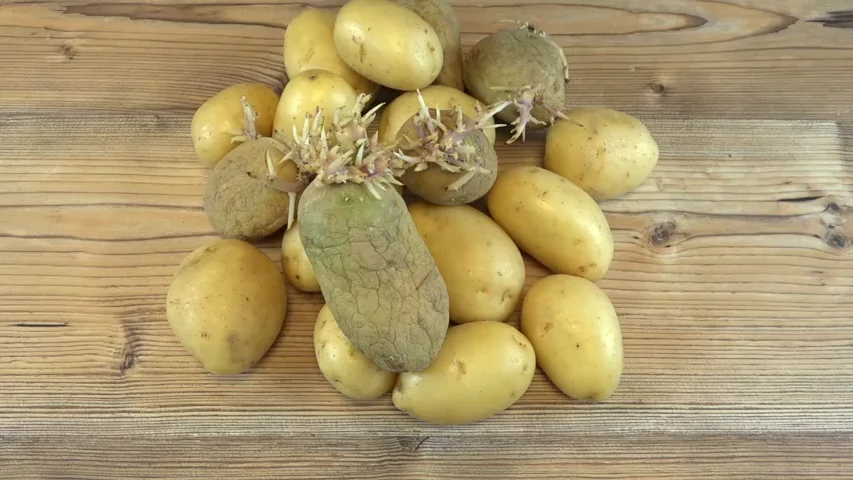 Cómo evitar que las patatas germinen Cómo evitar que las patatas germinen