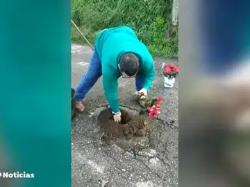 Un vecino de O Porriño rellena los baches con flores y plantas para llamar la atención del Ayuntamiento Un vecino de O Porriño rellena los baches con flores y plantas para llamar la atención del Ayuntamiento