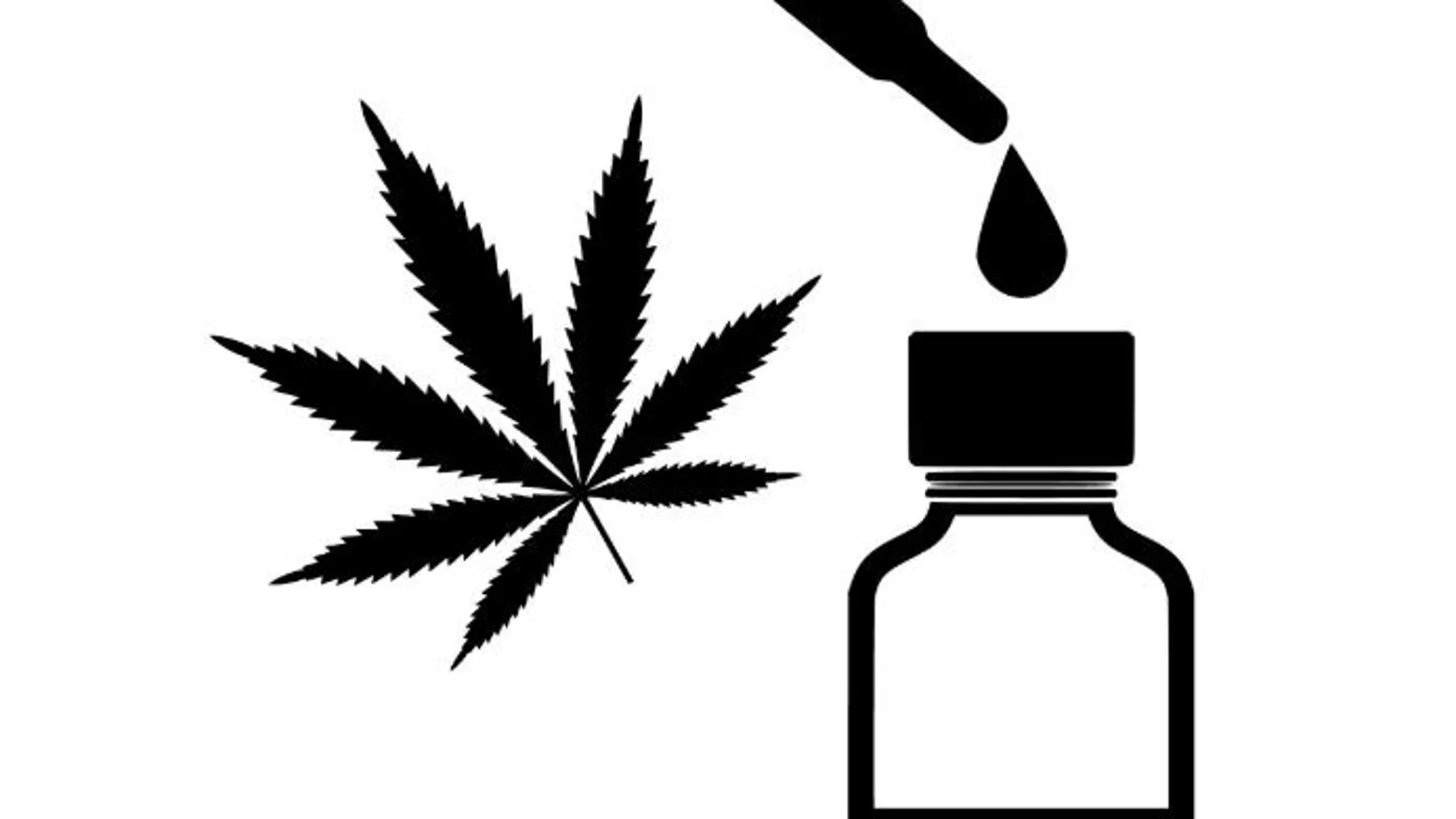 El cannabis cosmético, la nueva tendencia El cannabis cosmético, la nueva tendencia